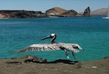 The Galapagos Islands, Ecuador